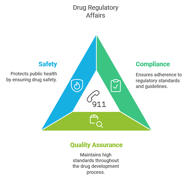 core responsibilities of the Drug Regulatory Affairs Department
                                        